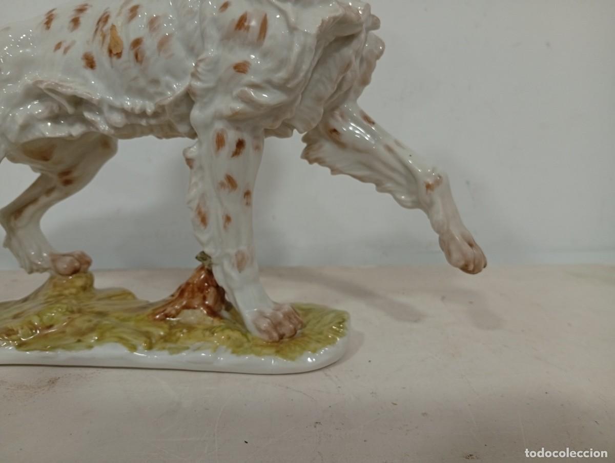 Antig&uuml;edades: Perro Setter de porcelana de Algora. En perfecto estado - Foto 3