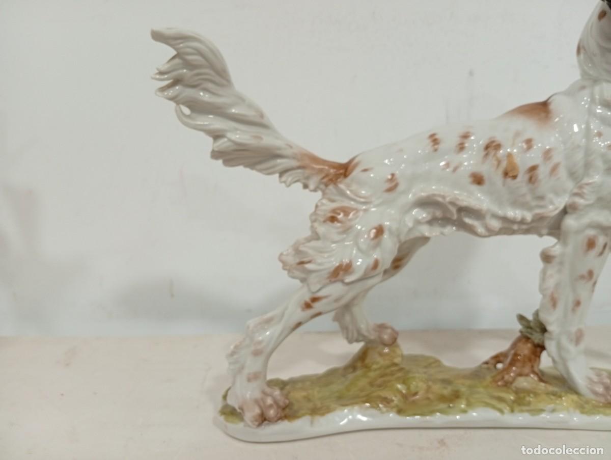 Antig&uuml;edades: Perro Setter de porcelana de Algora. En perfecto estado - Foto 4
