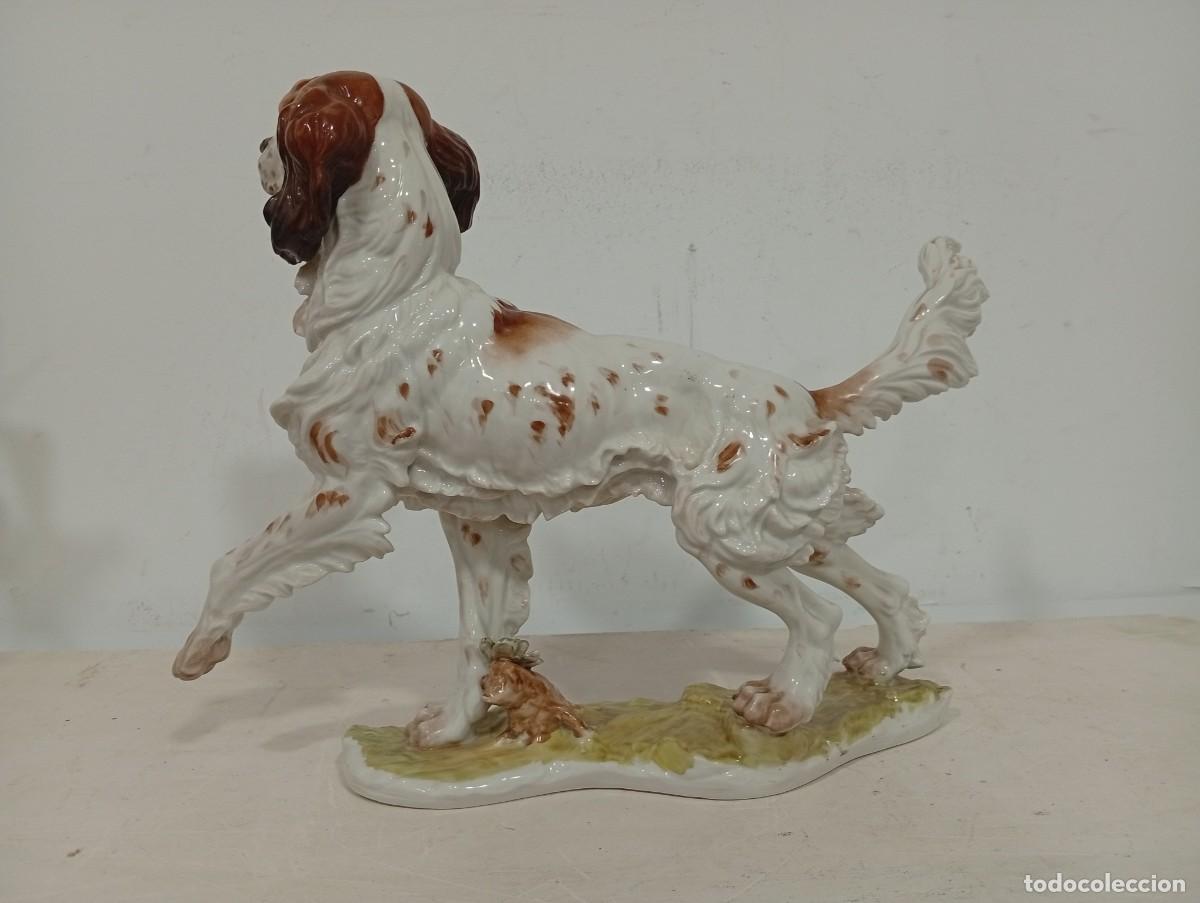 Antig&uuml;edades: Perro Setter de porcelana de Algora. En perfecto estado - Foto 5
