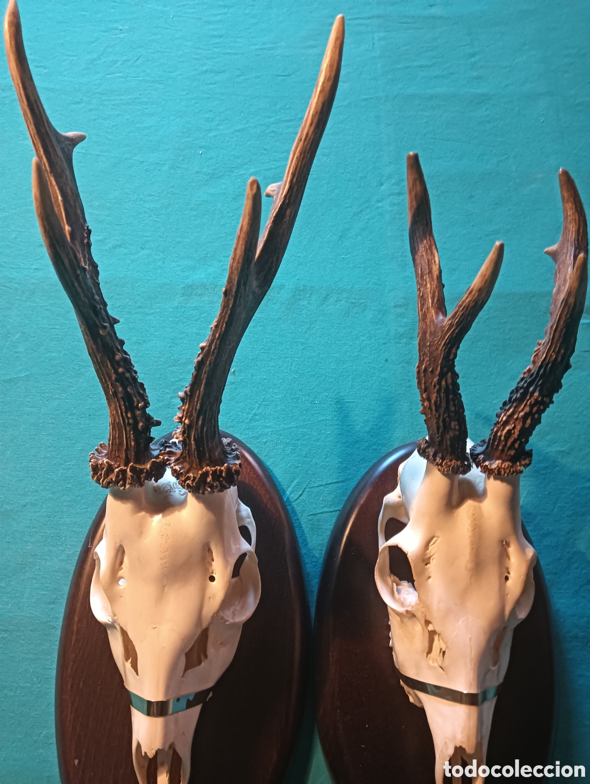 Antig&uuml;edades: dos trofeos de caza para decoraci&oacute;n