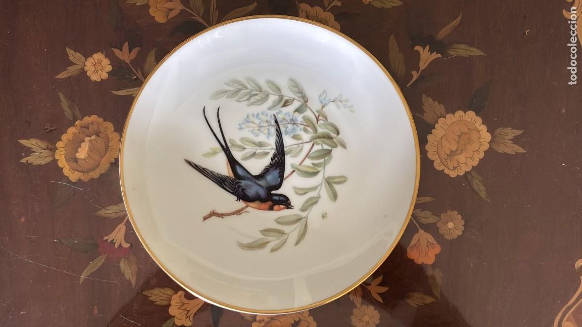 Antig&uuml;edades: HUTSCHENREUTHER SELB BAVARIA - BARN SWALLOW AUDUBON - PLATO PORCELANA 23 CM
