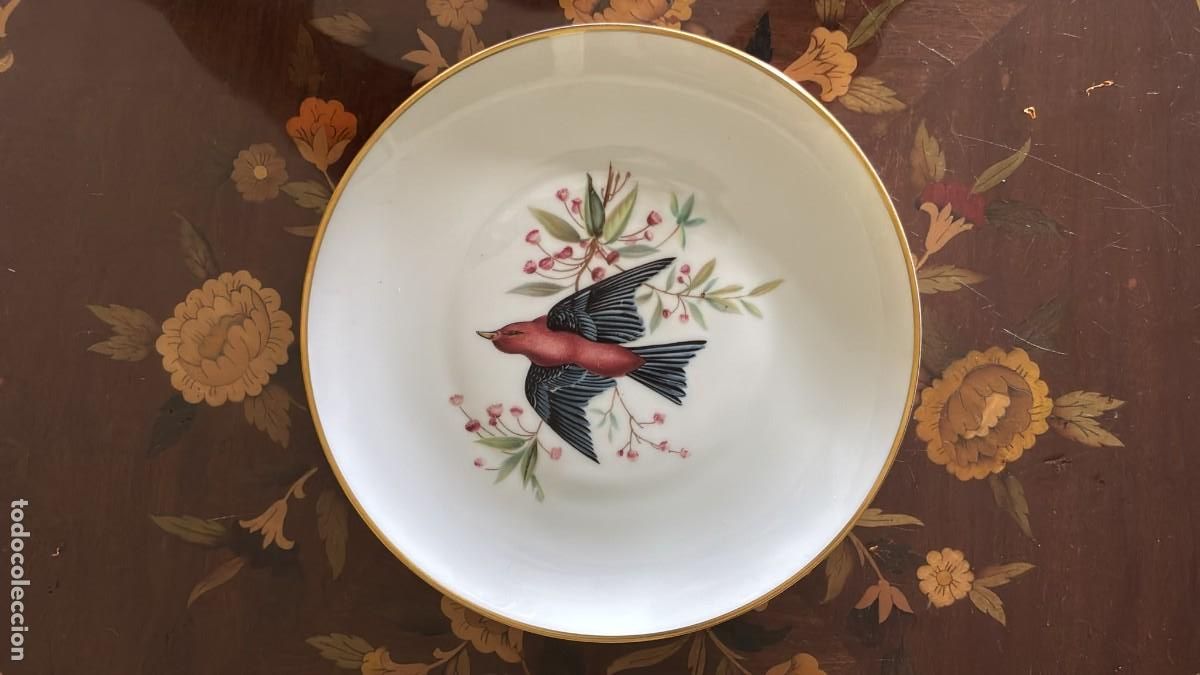 Antig&uuml;edades: HUTSCHENREUTHER SELB BAVARIA - CARDINAL AUDUBON - PLATO PORCELANA 23 CM
