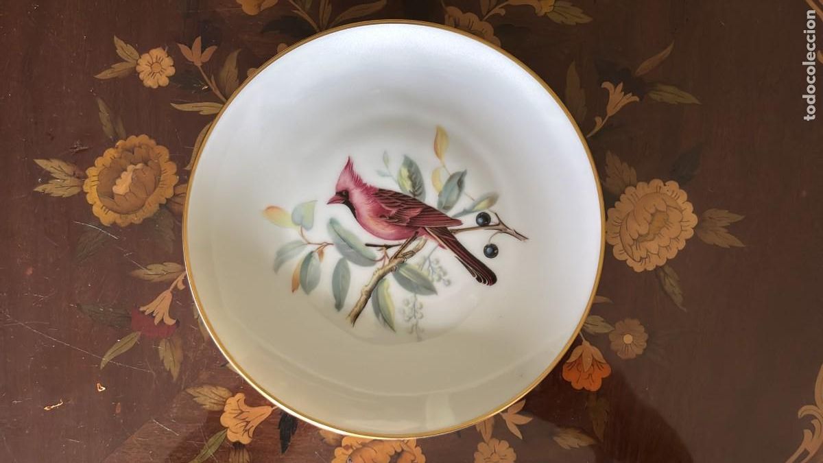 Antig&uuml;edades: HUTSCHENREUTHER SELB BAVARIA - SCARLET TANAGER AUDUBON - PLATO PORCELANA 23 CM