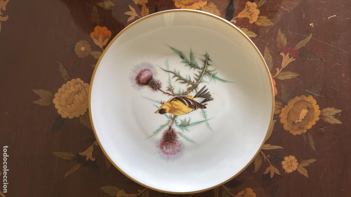 Antig&uuml;edades: HUTSCHENREUTHER SELB BAVARIA - GOLDFINCH AUDUBON - PLATO PORCELANA 23 CM