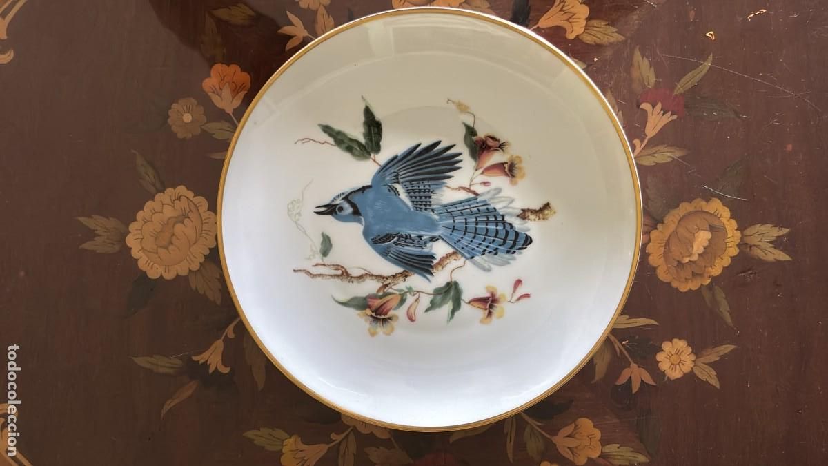 Antig&uuml;edades: HUTSCHENREUTHER SELB BAVARIA - BLUE JAY AUDUBON - PLATO PORCELANA 23 CM