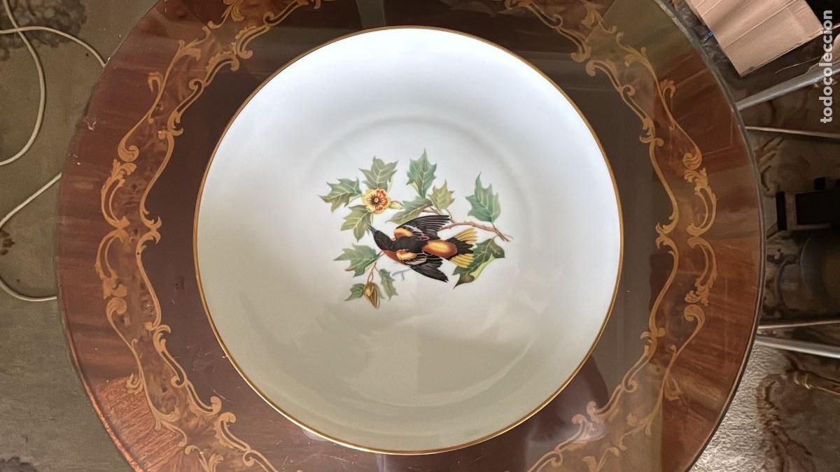 Antig&uuml;edades: GRAN PLATO HUTSCHENREUTHER SELB BAVARIA AUDUBON BALTIMORE ORIOLE 33,8 CM