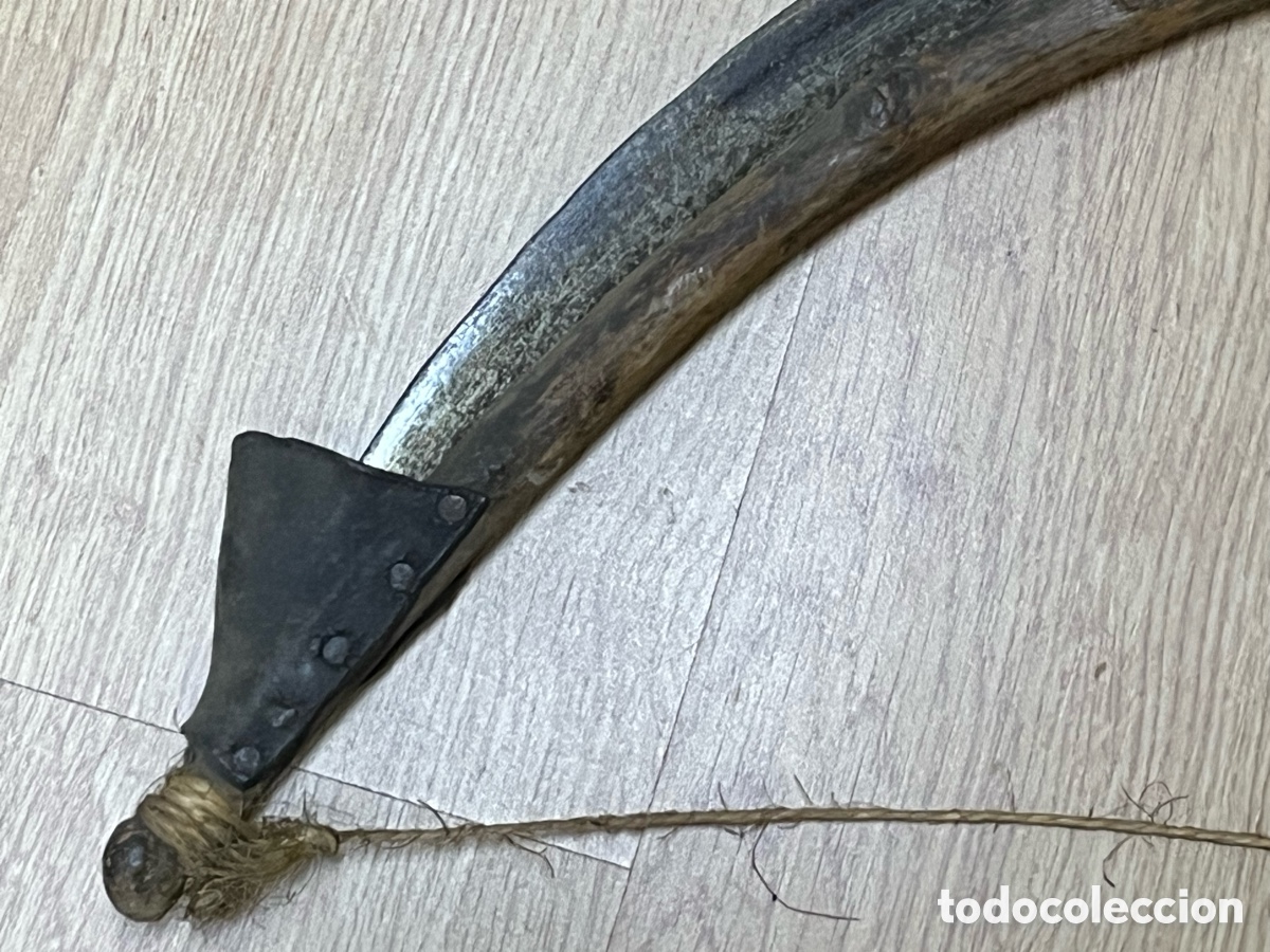 Antig&uuml;edades: Azada antigua de hierro con protector de madera - Foto 4
