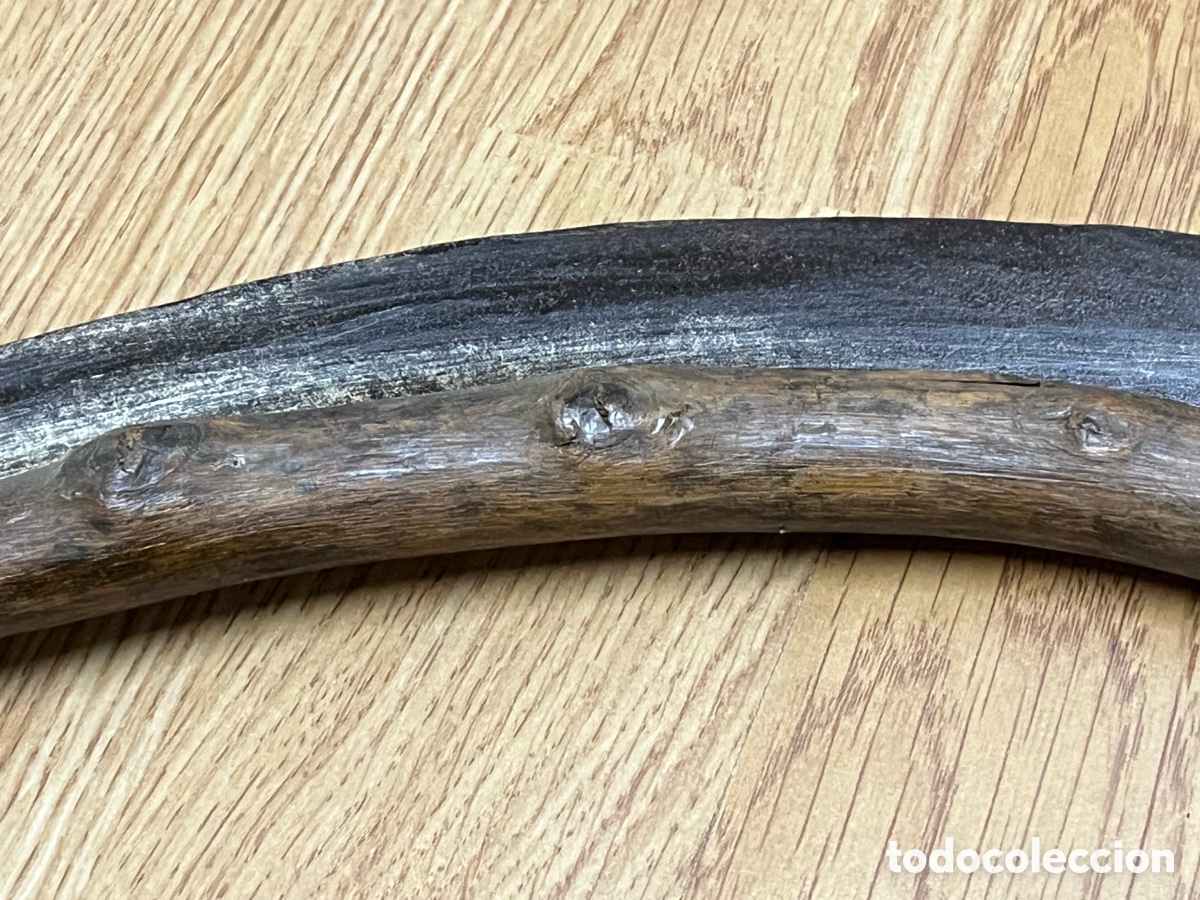 Antig&uuml;edades: Azada antigua de hierro con protector de madera - Foto 8