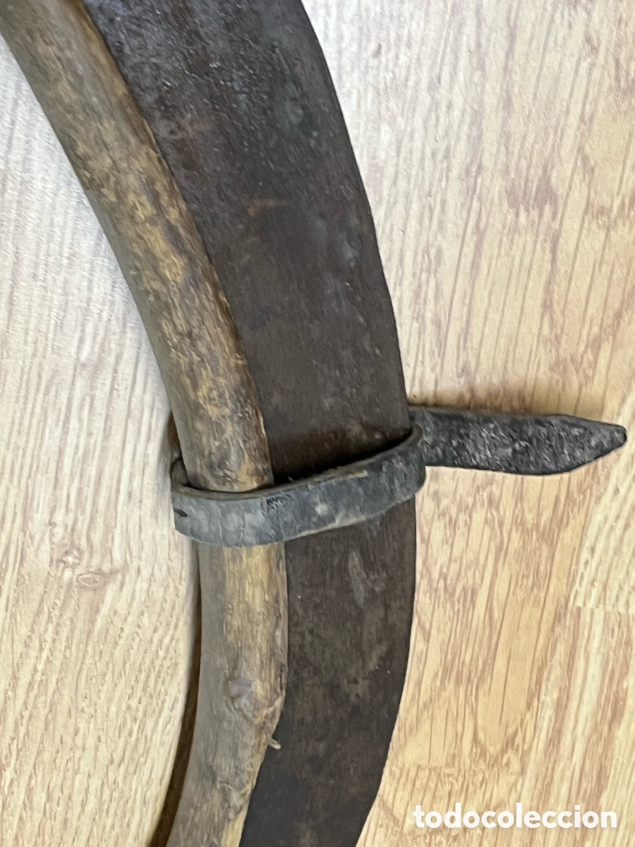 Antig&uuml;edades: Azada antigua de hierro con protector de madera - Foto 15