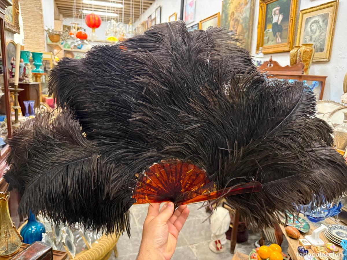 Antig&uuml;edades: ANTIGUO ABANICO DE PLUMAS Y CAREY - MEDIDA ABIERTO 82X50 CM