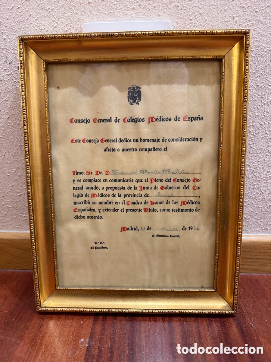 Antiguidades: T&iacute;tulo M&eacute;dico Vintage 1974 - Cuadro de Honor con Marco Cl&aacute;sico Dorado