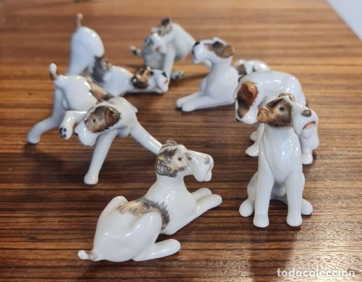 Antiguidades: Lote de 7 perros fox terrier de porcelana Limbach con marca del tr&eacute;bol azul