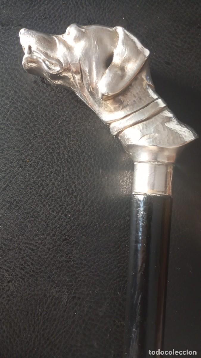 Oggetti Antichi: Bast&oacute;n con empu&ntilde;adura de Cocker laminada en plata.