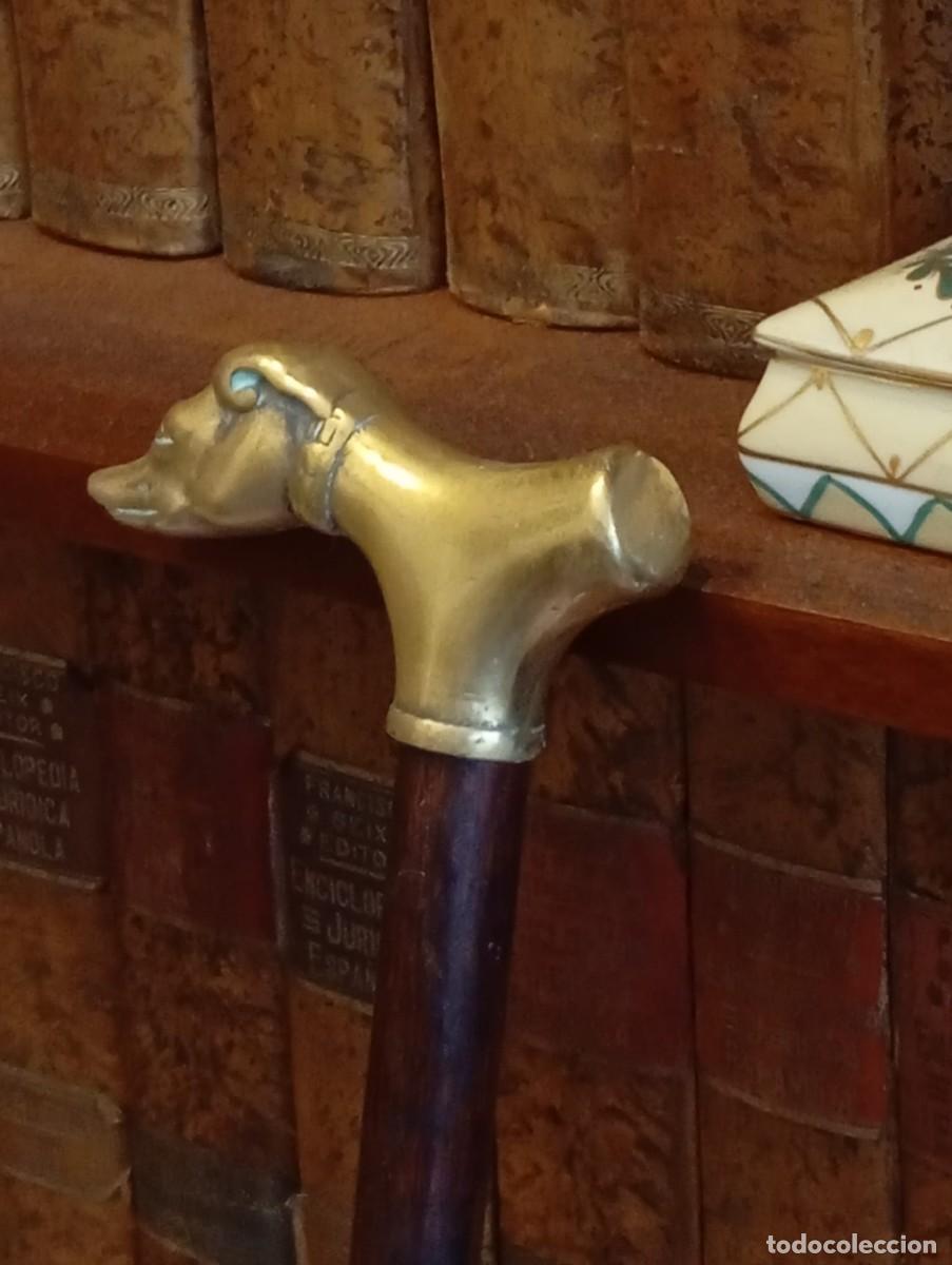 Antig&uuml;edades: Elegante bast&oacute;n con forma de perro en bronce. - Foto 3