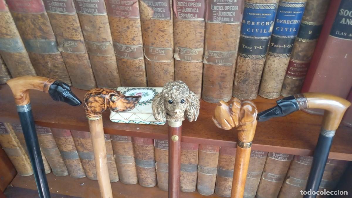 Antig&uuml;edades: Colecci&oacute;n 5 Bastones Decorativos con caras de perros