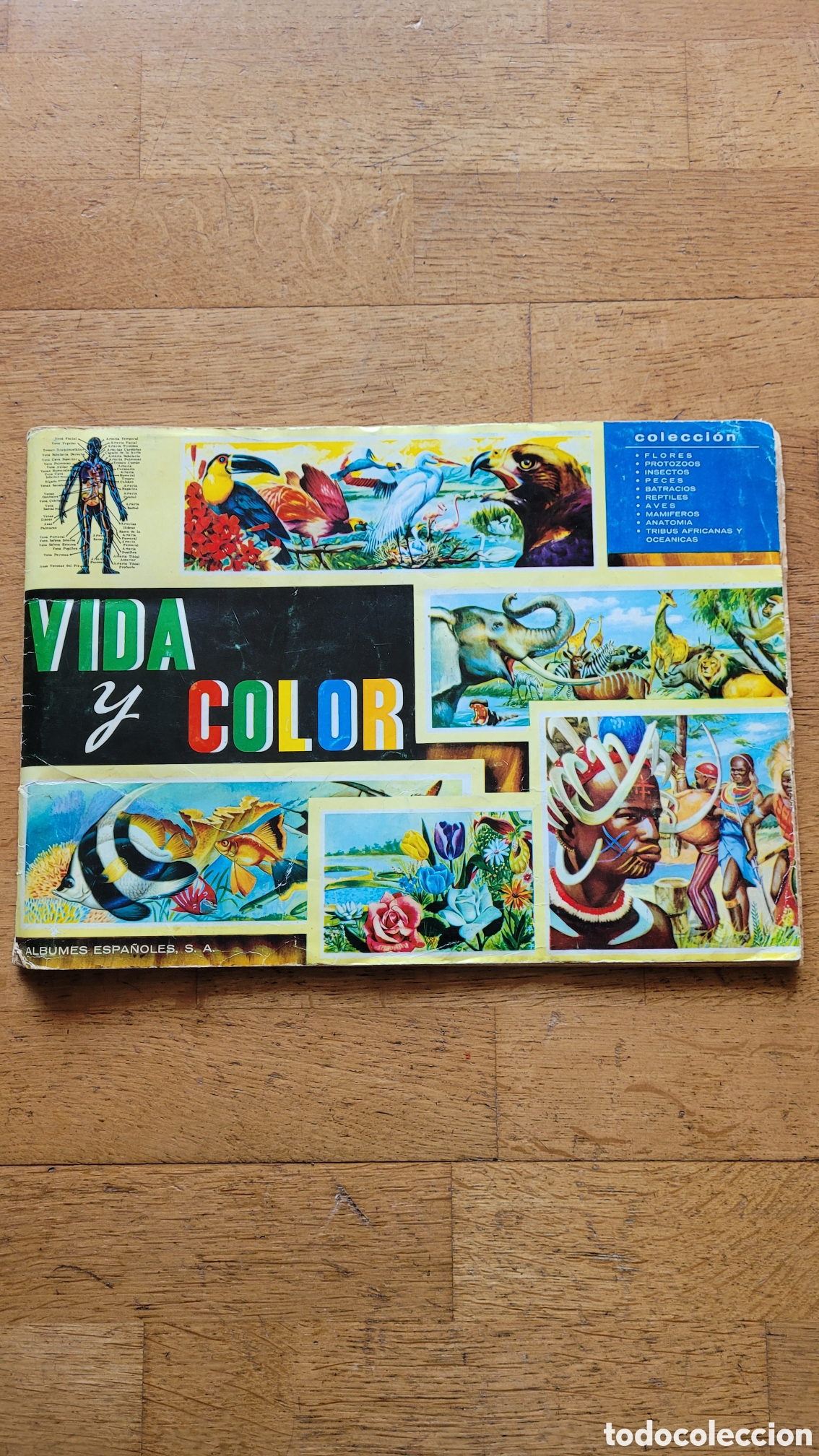 Oggetti Antichi: Album de cromos &rdquo;Vida y Color&rdquo;