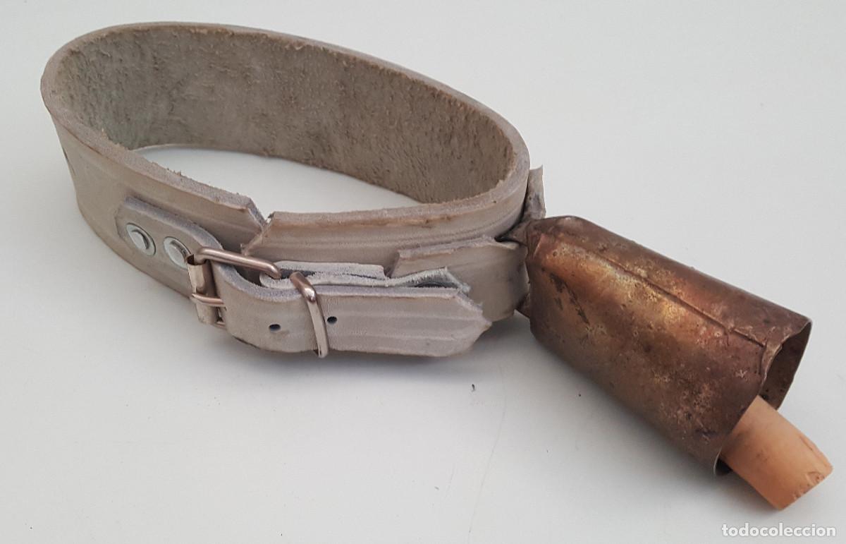 Antig&uuml;edades: ANTIGUO CENCERRO CON COLLAR DE CUERO PARA GANADO, LO QUE SE VE EN LAS IM&Aacute;GENES