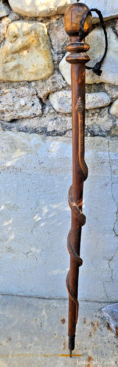Antiquit&eacute;s: ANCIENNE CANNE ART POPULAIRE DES TRANCHEES EN BOIS SCULPTE D'UN SERPENT
