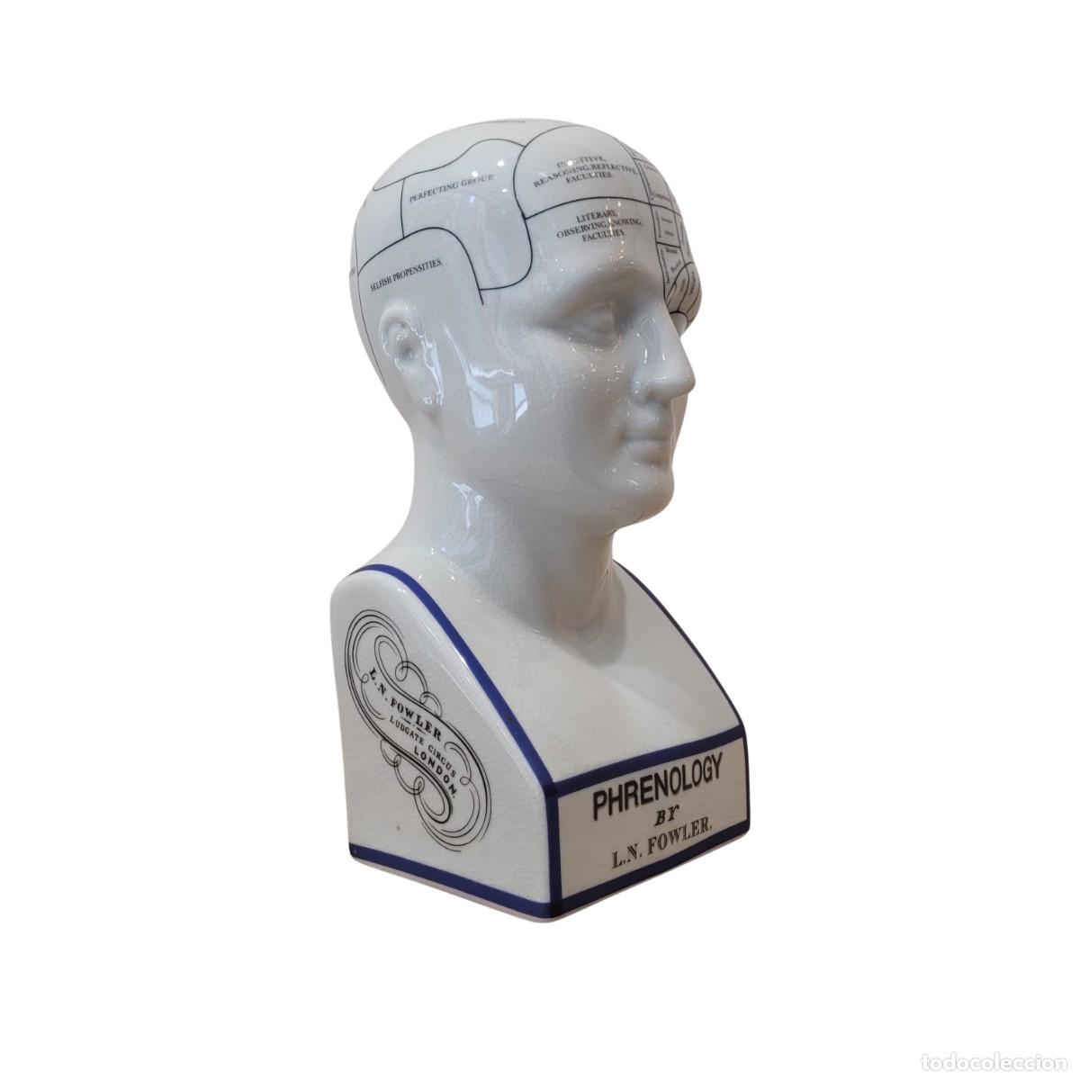 Antiguidades: Busto frenol&oacute;gico &rdquo;L. N. Fowler&rdquo;, Authentic Models, Porcelana esmaltada, c. 1990 &ndash; Pa&iacute;ses Bajos