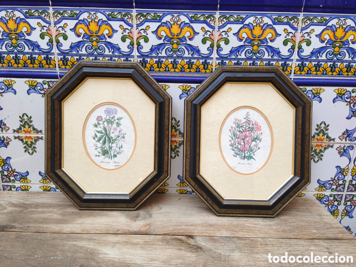 Antig&uuml;edades: Dos cuadros decorativos con l&aacute;minas botanicas