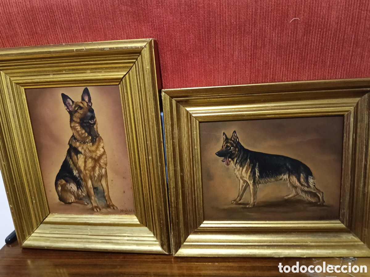 Antig&uuml;edades: Pareja marcos dorados