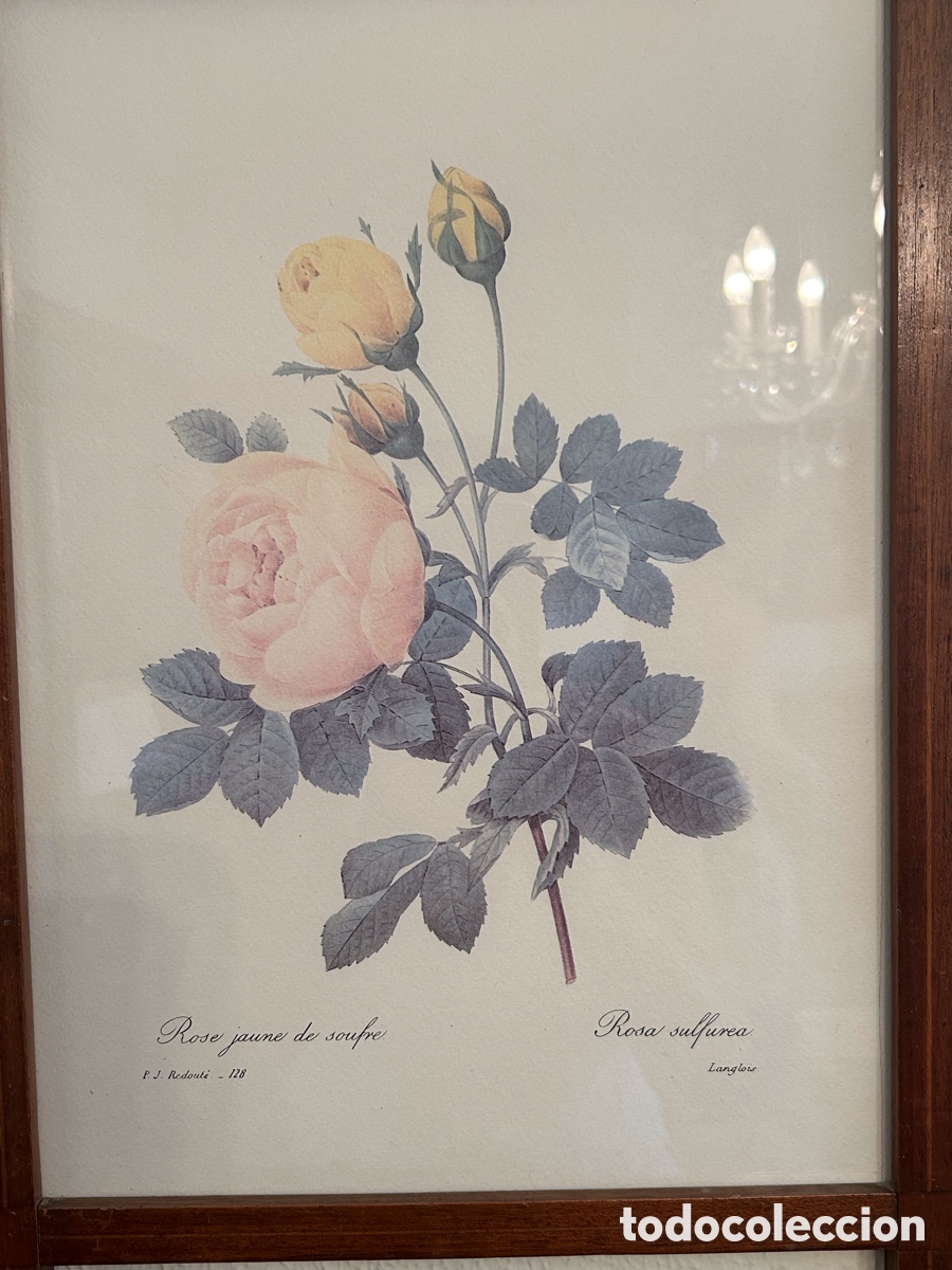 Antig&uuml;edades: Marco antiguo de madera - Foto 2