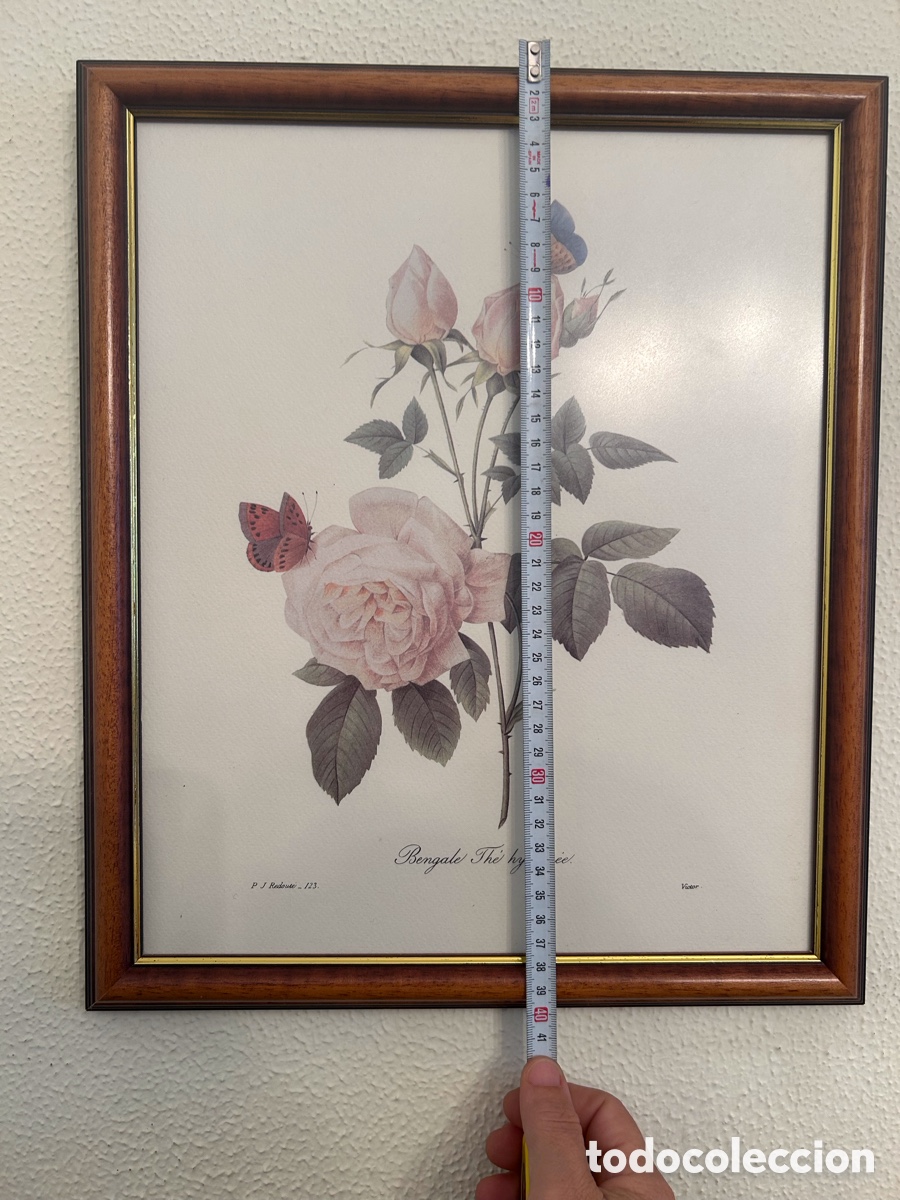 Antig&uuml;edades: Bonito marco con l&aacute;mina - Foto 4