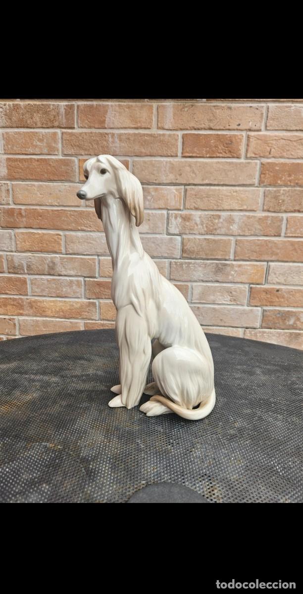 Antiguidades: Galgo Lladr&oacute; 30cm (880&euro;)