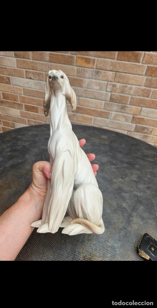 Antig&uuml;edades: Galgo Lladr&oacute; 30cm (880&euro;) - Foto 6