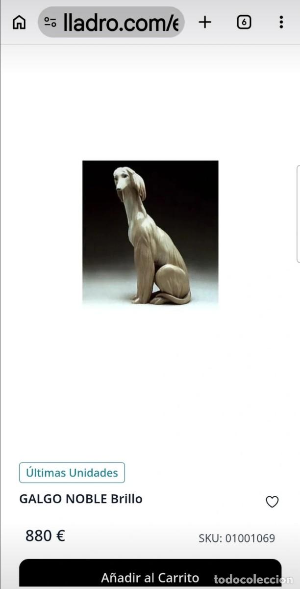 Antig&uuml;edades: Galgo Lladr&oacute; 30cm (880&euro;) - Foto 7