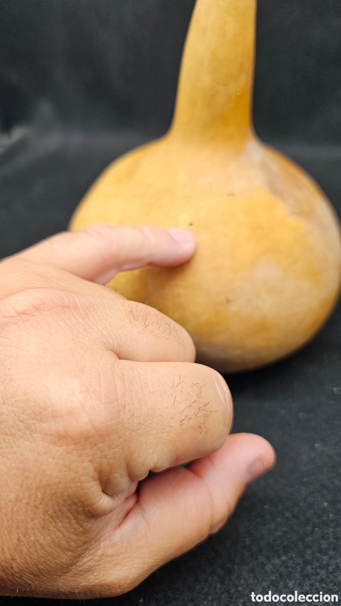Antig&uuml;edades: Recipiente de calabaza natural.... - Foto 5