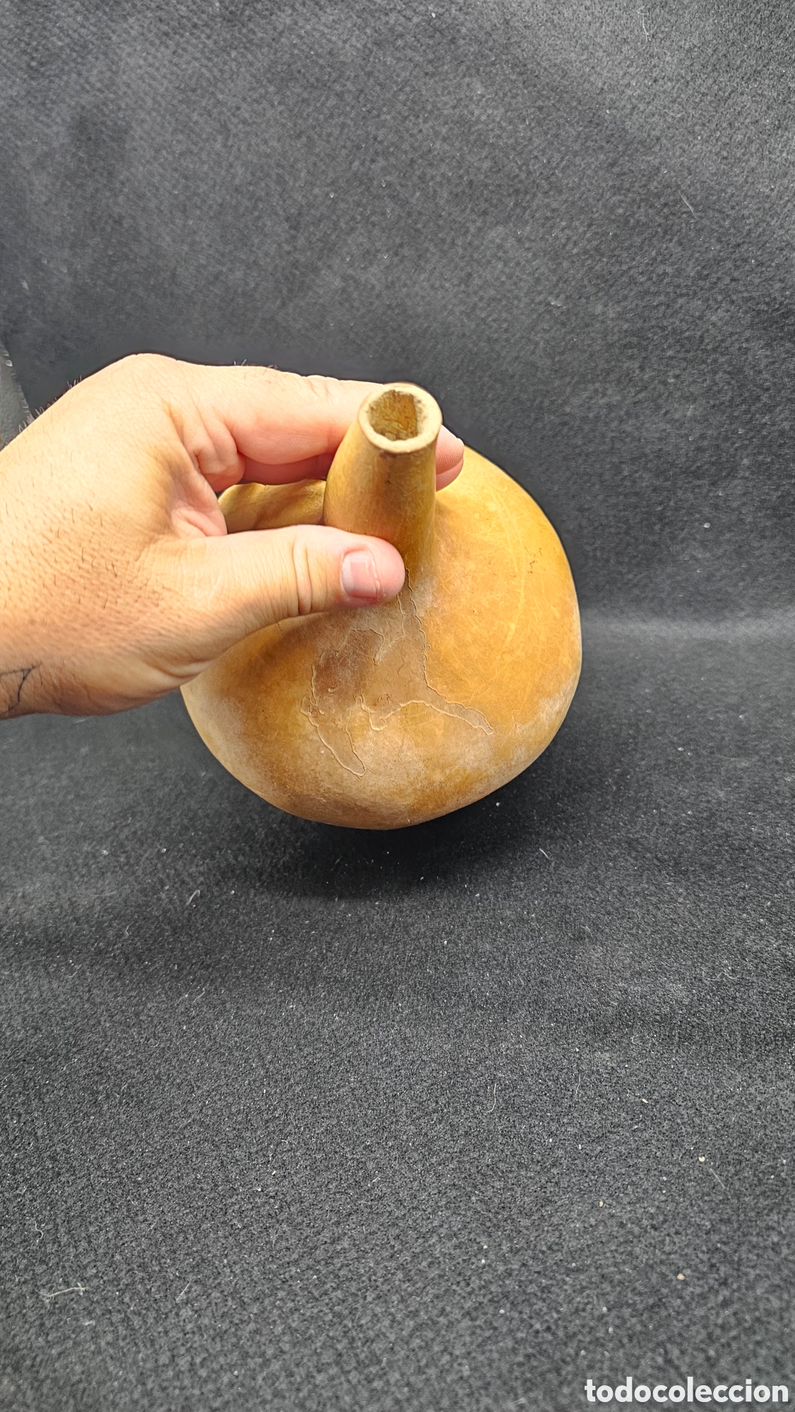 Antig&uuml;edades: Recipiente de calabaza natural.... - Foto 6
