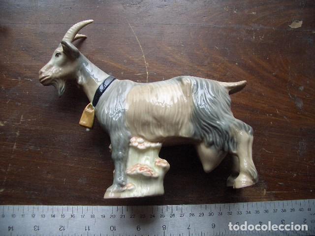 Antig&uuml;edades: Cabra alpina con collar y campana