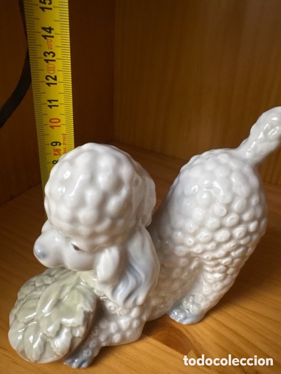 Antig&uuml;edades: Figura Perro Caniche Porcelana Porceval