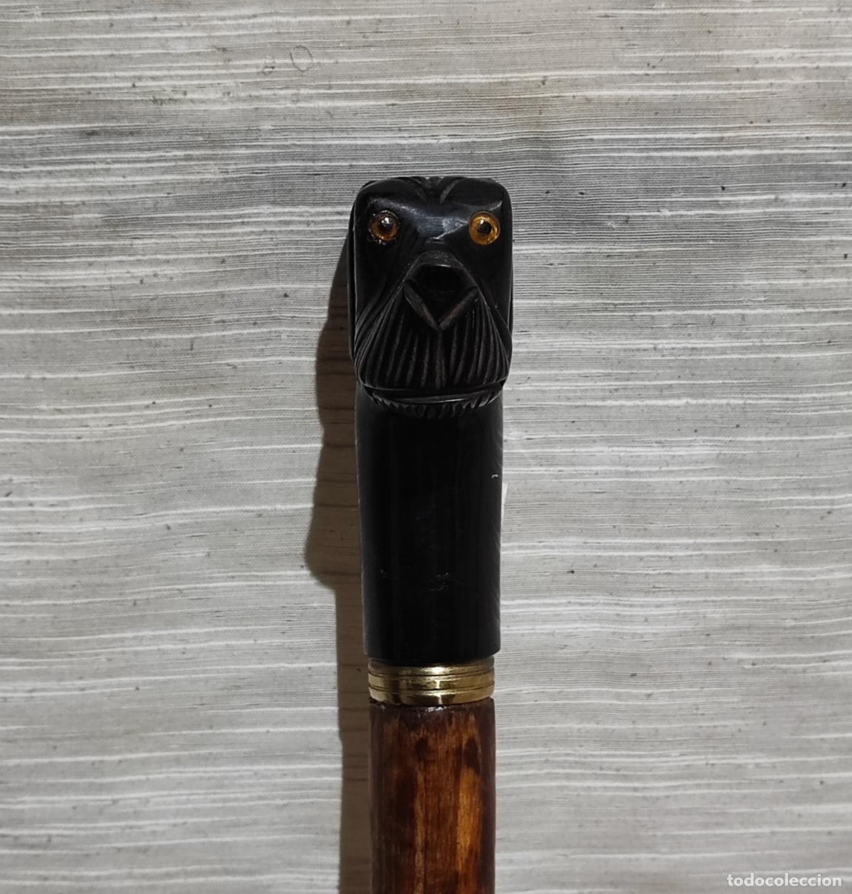 Antig&uuml;edades: BASTON CABEZA DE PERRO DE BAKELITA Y MADERA - Foto 4