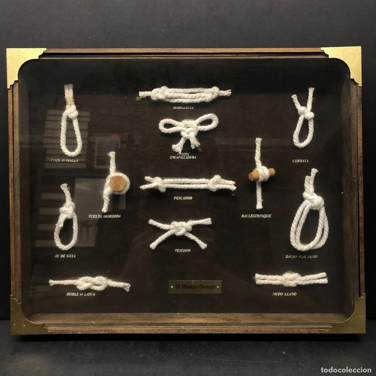 Antig&uuml;edades: COLECCI&Oacute;N DECORATIVA DE NUDOS MARINOS EN MINIATURA - B. BRAUN-DEXON / 1610