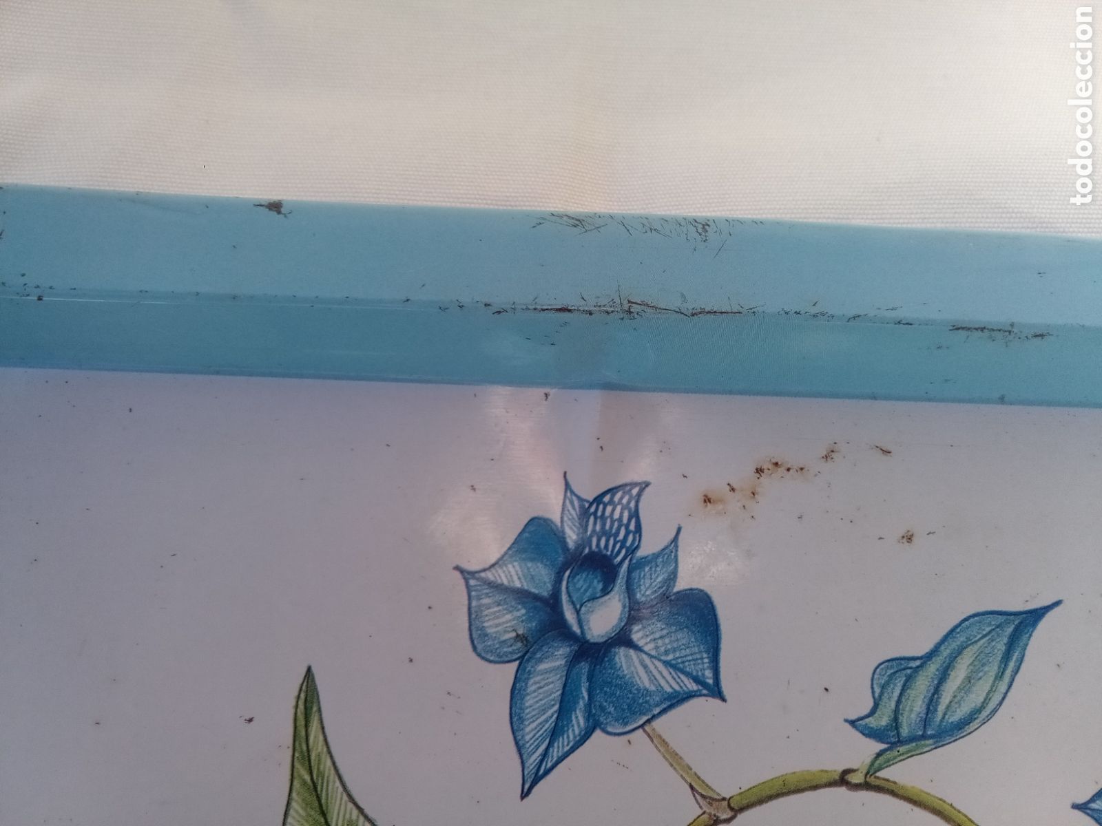 Antig&uuml;edades: BANDEJA COLGATE DENTROBRIUM - PLANTAS - Foto 3