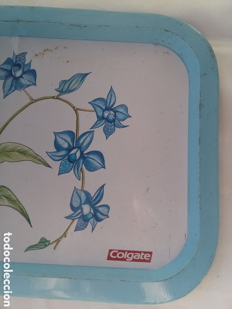 Antig&uuml;edades: BANDEJA COLGATE DENTROBRIUM - PLANTAS - Foto 4