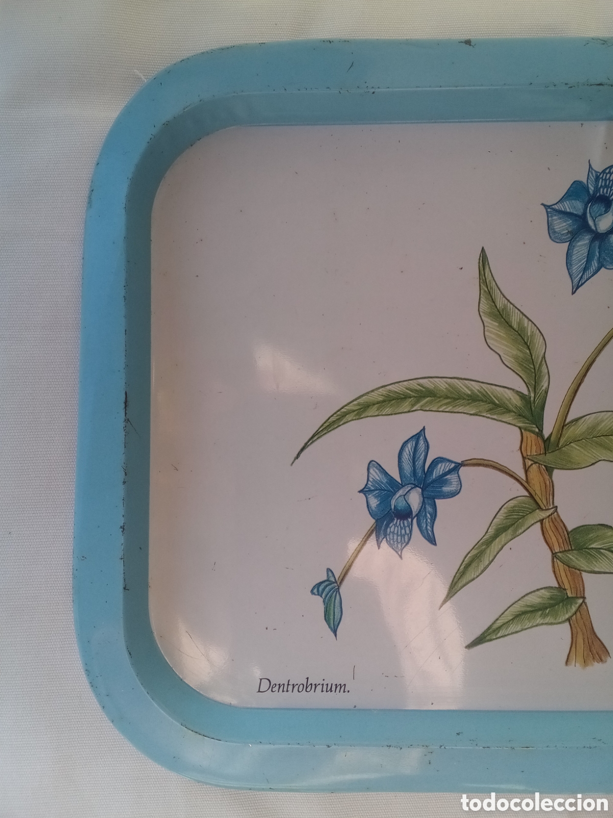 Antig&uuml;edades: BANDEJA COLGATE DENTROBRIUM - PLANTAS - Foto 5