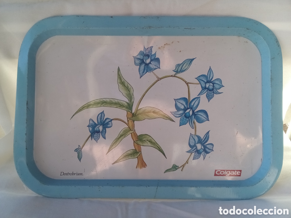 Antig&uuml;edades: BANDEJA COLGATE DENTROBRIUM - PLANTAS