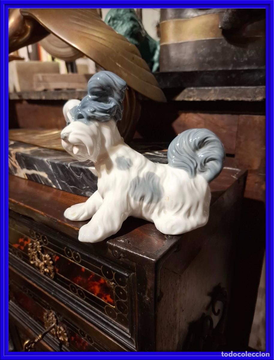 Antig&uuml;edades: PERRO DE PORCELANA DE LLADRO - Foto 1