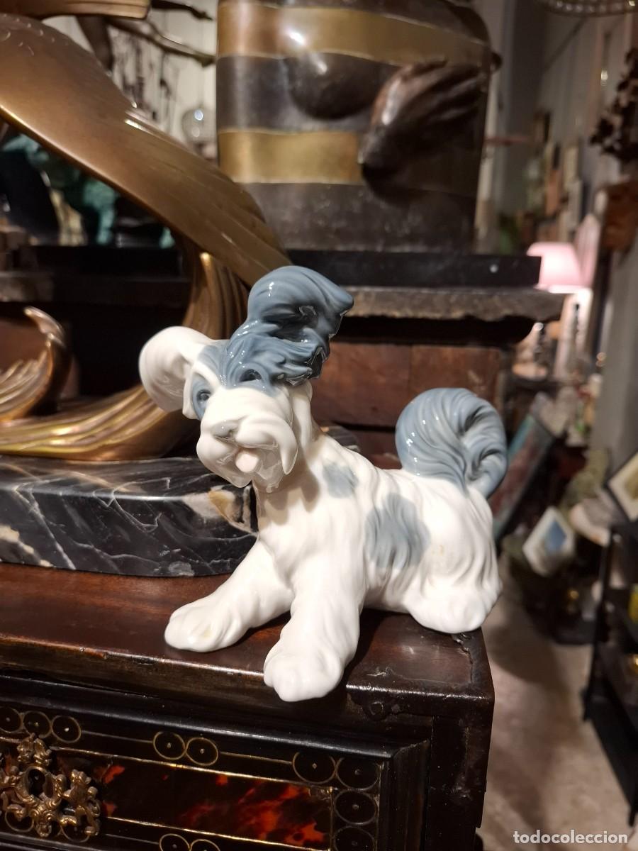 Antig&uuml;edades: PERRO DE PORCELANA DE LLADRO - Foto 2