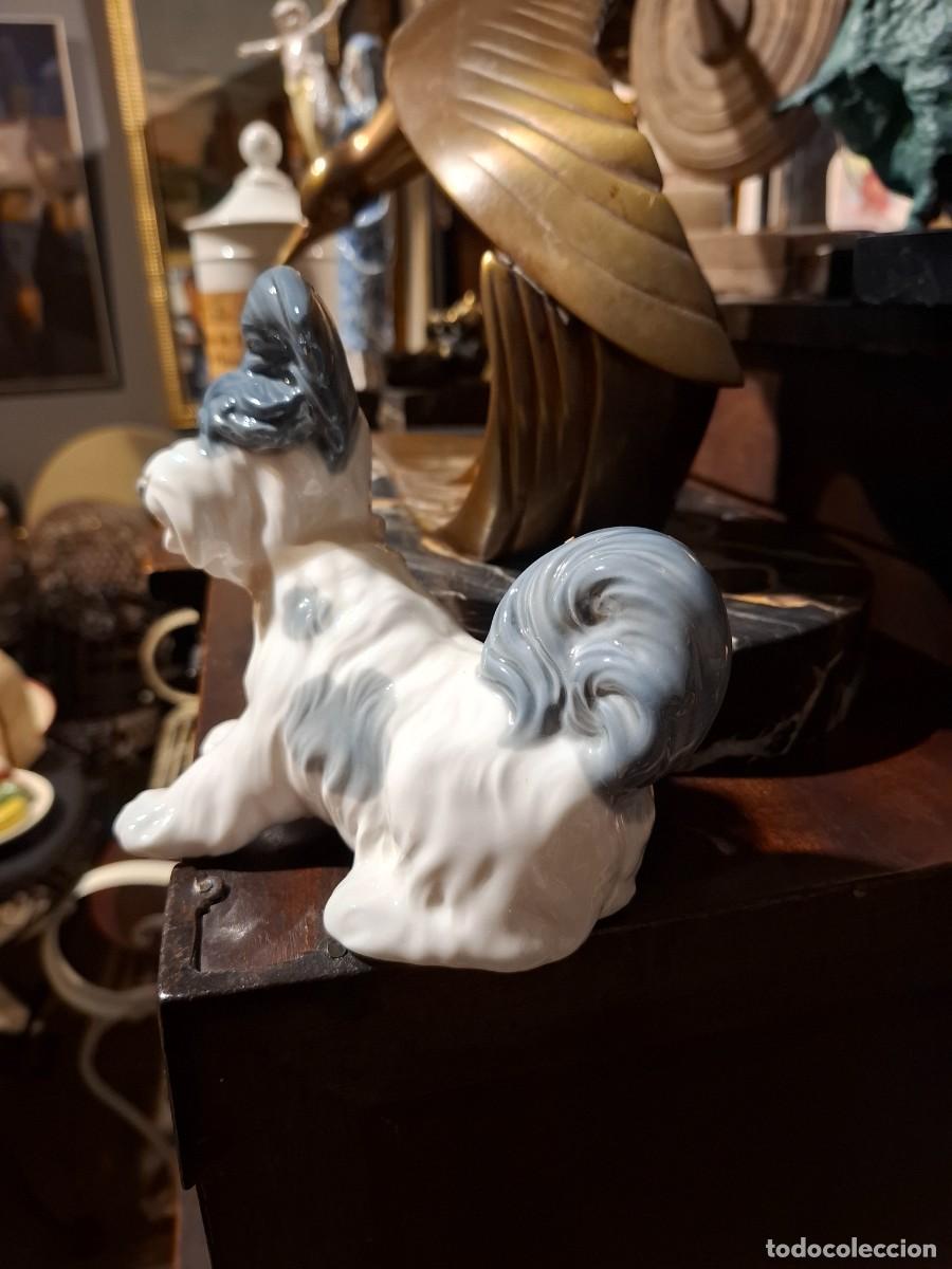 Antig&uuml;edades: PERRO DE PORCELANA DE LLADRO - Foto 3