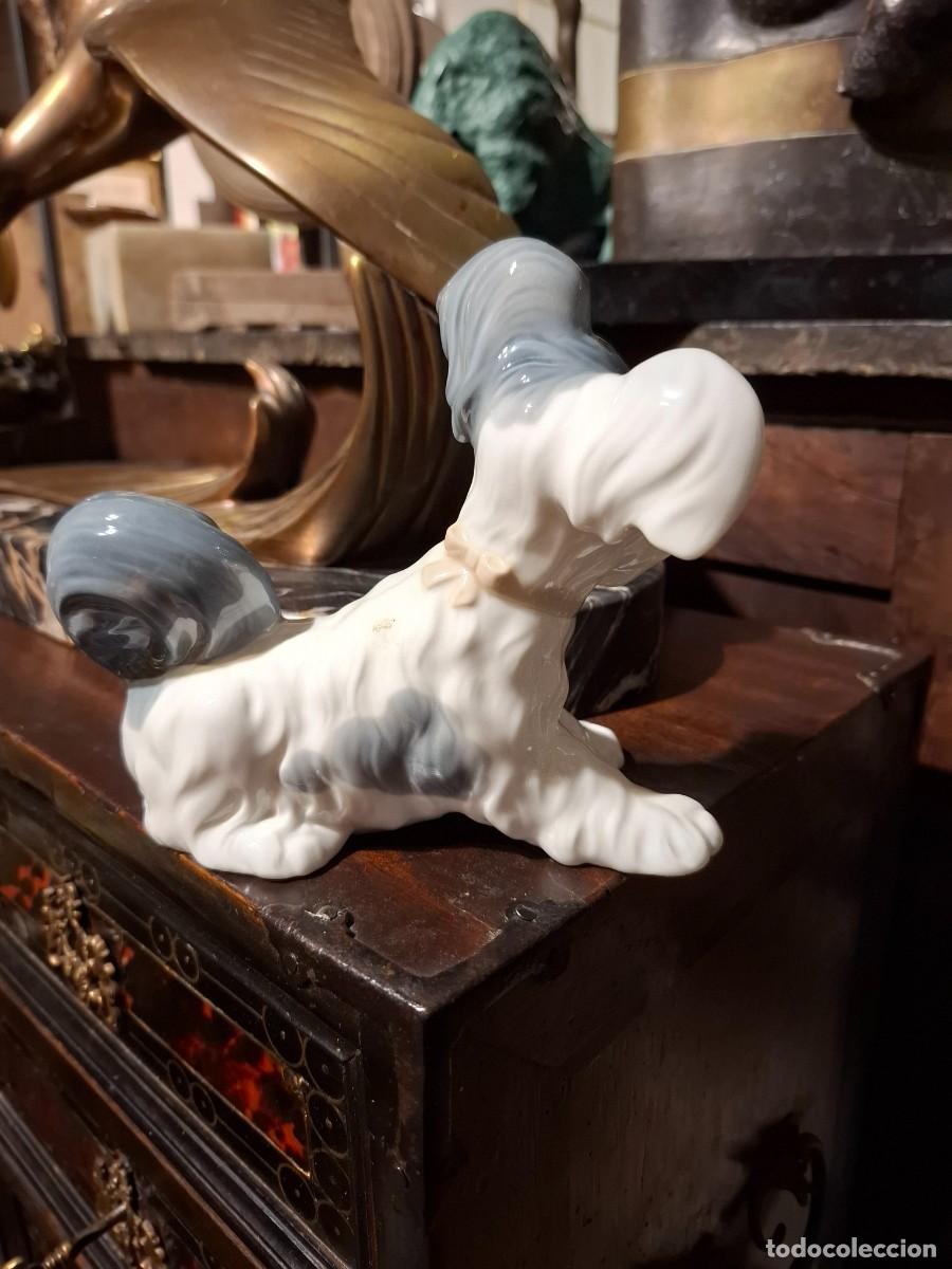 Antig&uuml;edades: PERRO DE PORCELANA DE LLADRO - Foto 4