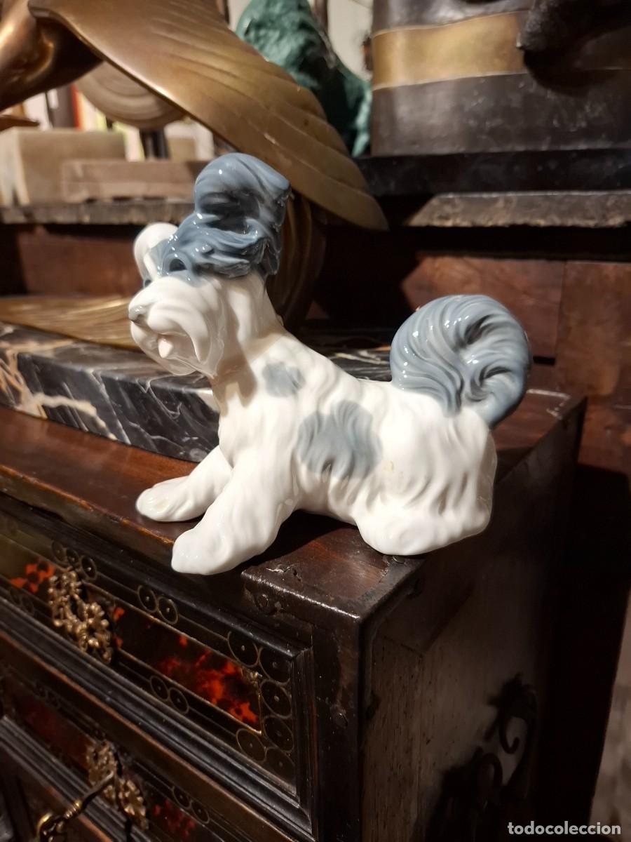 Antig&uuml;edades: PERRO DE PORCELANA DE LLADRO - Foto 6