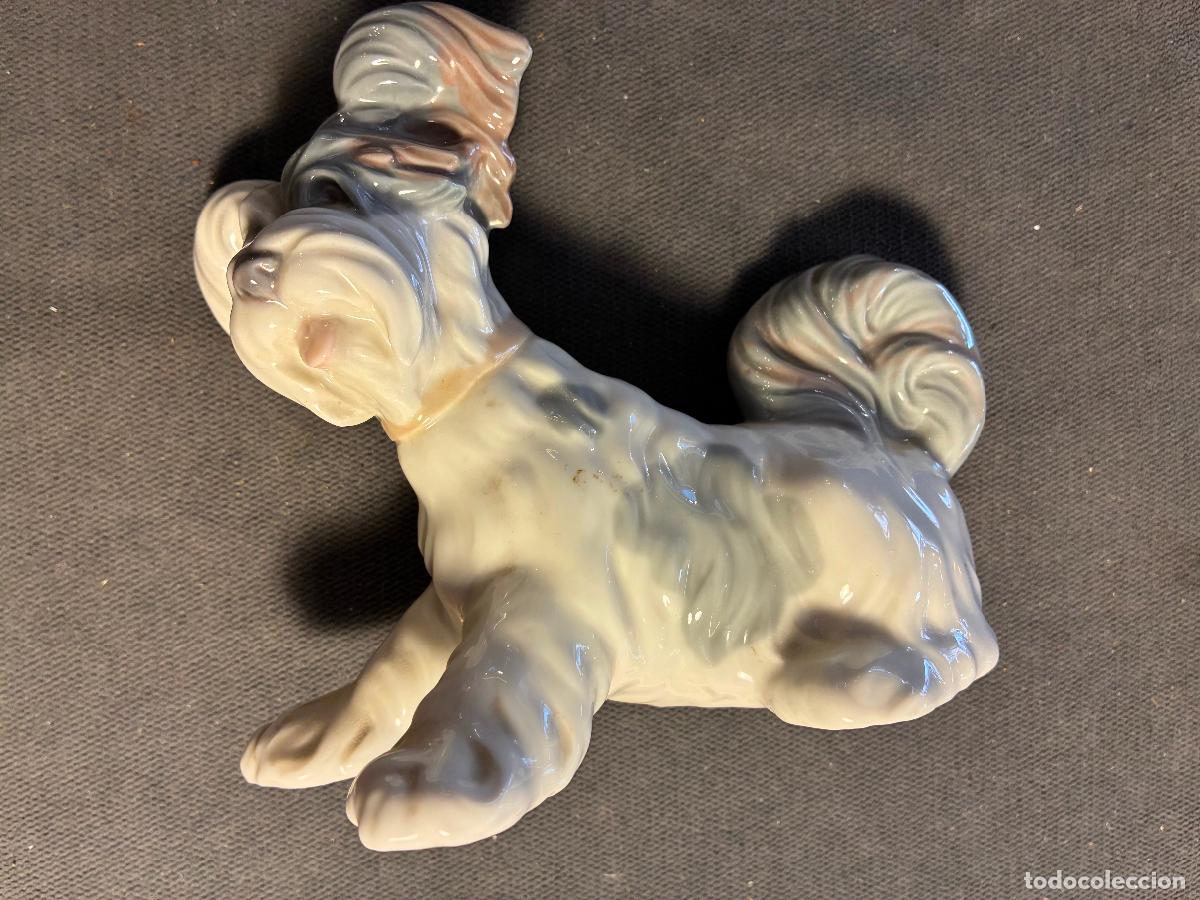 Antig&uuml;edades: Perro terrier figura Lladr&oacute; muy bien conservado ver fotos