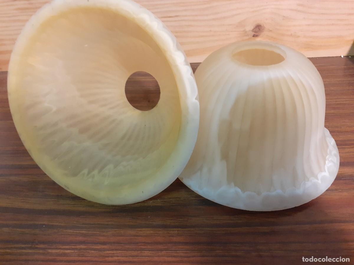 Antig&uuml;edades: Tulipas rizadas de alabastro