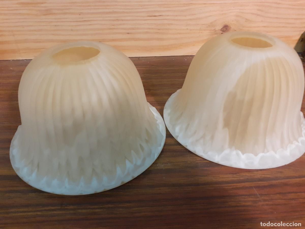 Antig&uuml;edades: Tulipas rizadas de alabastro - Foto 3