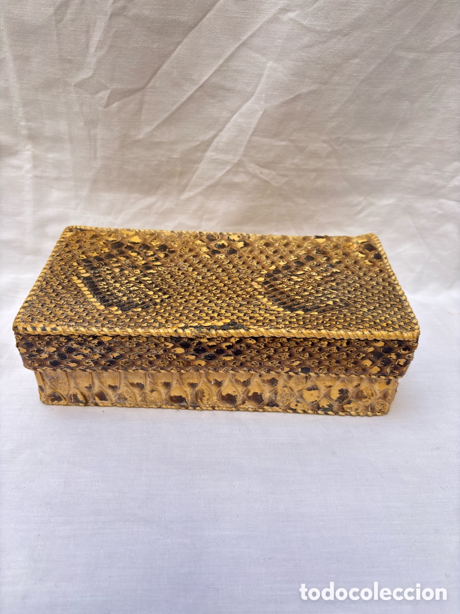 Antig&uuml;edades: Caja piel de serpiente