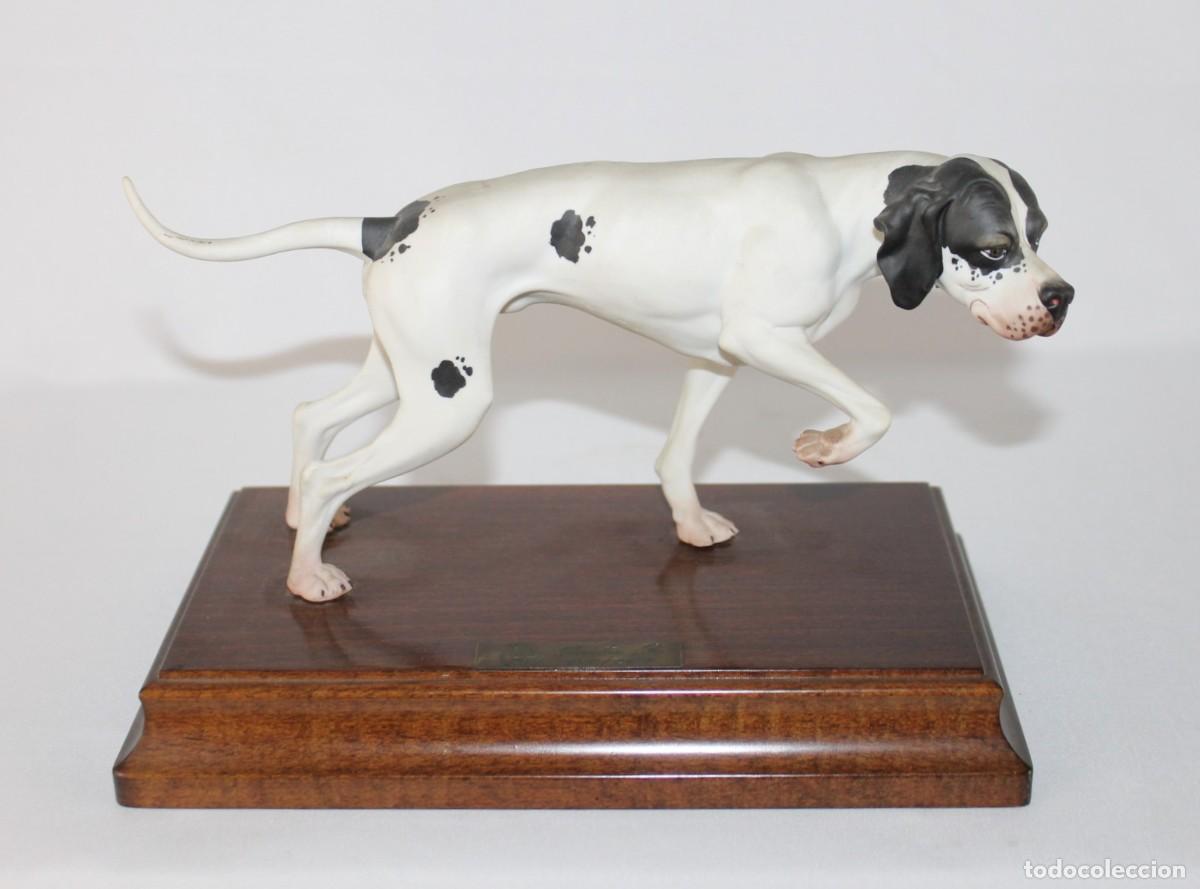 Antig&uuml;edades: Figura de porcelana Nuevo Buen Retiro perro Pointer. Edici&oacute;n limitada 151/2000